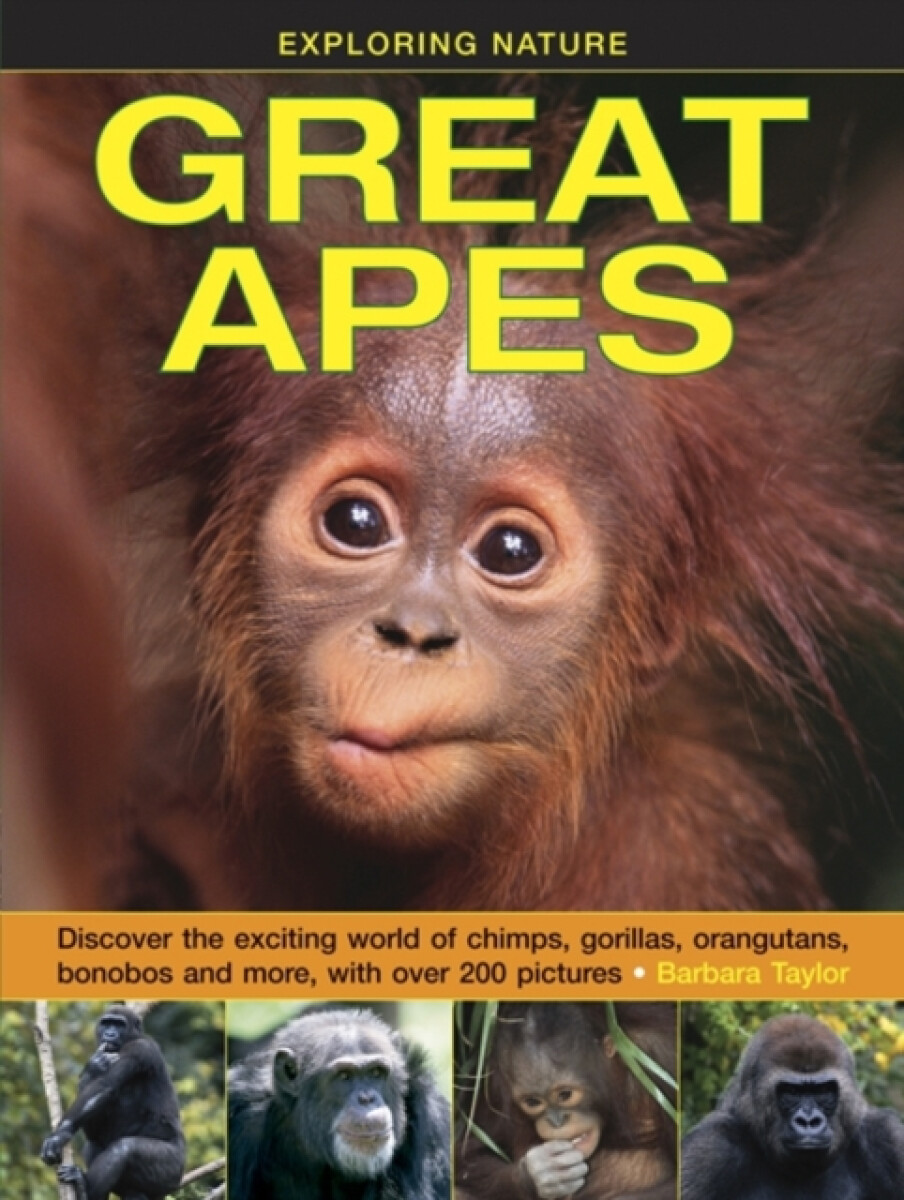 Kniha Exploring Nature: Great Apes