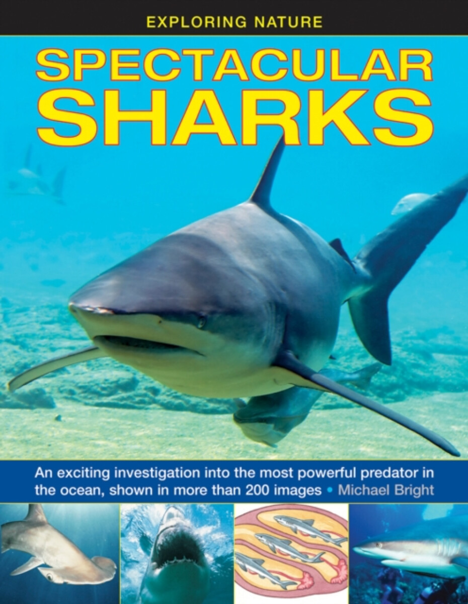 Kniha Exploring Nature: Spectacular Sharks