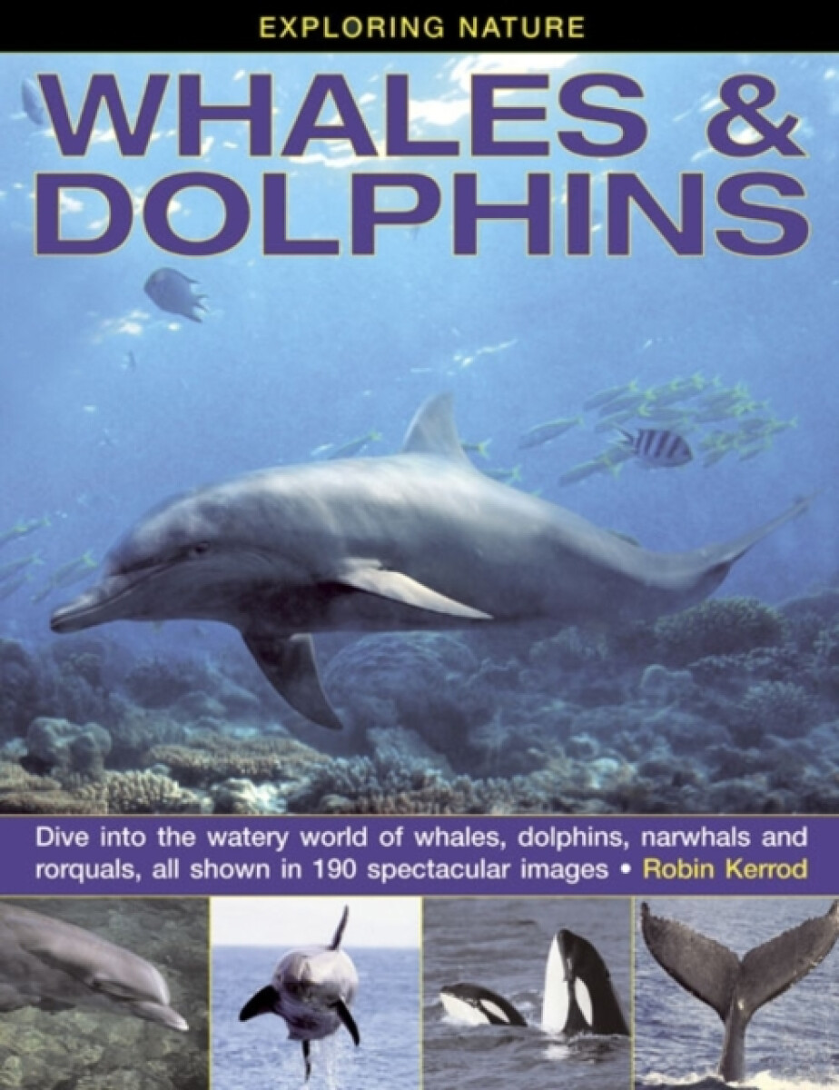 Kniha Exploring Nature: Whales a Dolphins