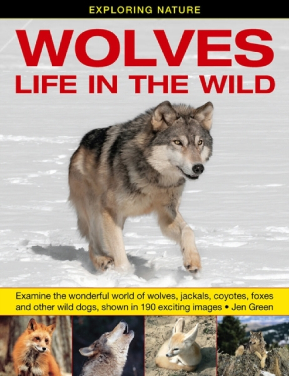 Kniha Exploring Nature: Wolves - Life in the Wild