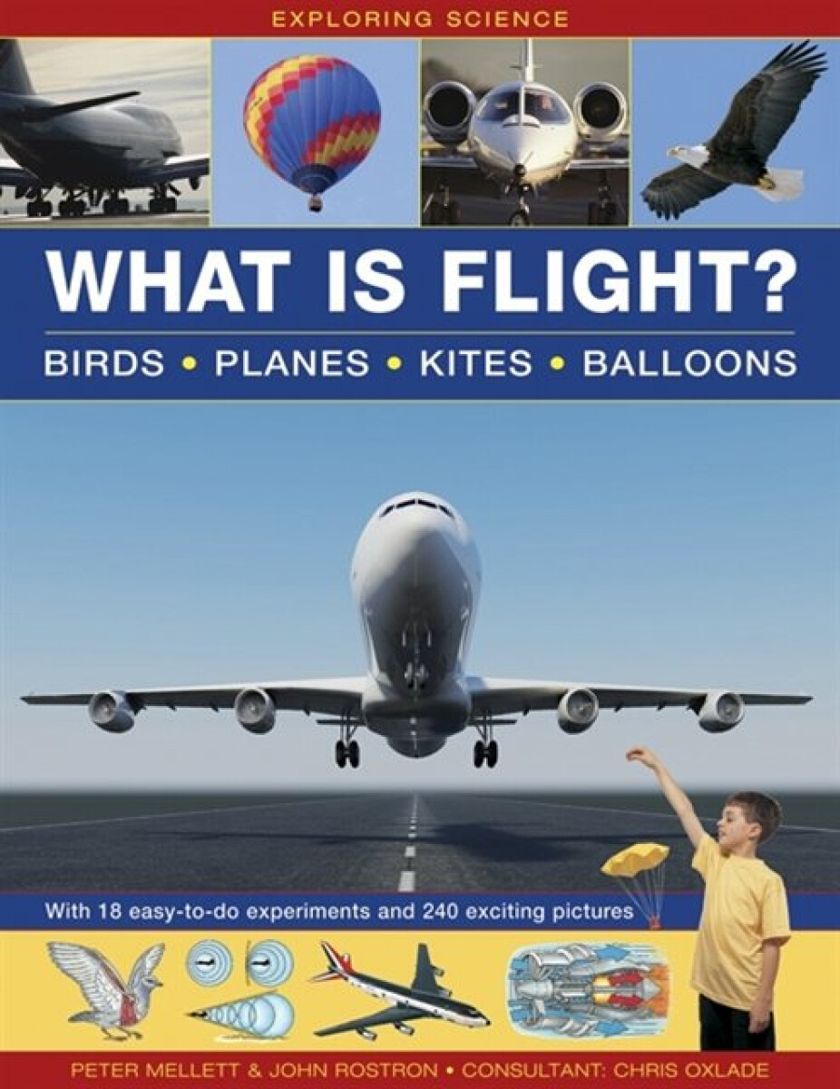 Kniha Exploring Science: What Is Flight?