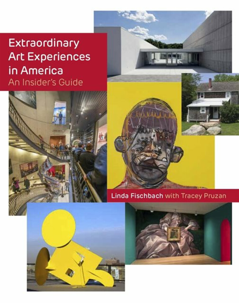 Kniha Extraordinary Art Experiences in America