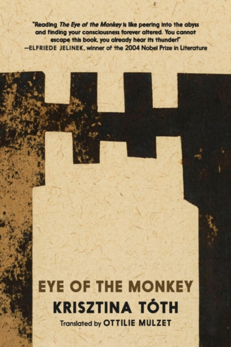 Kniha Eye of the Monkey
