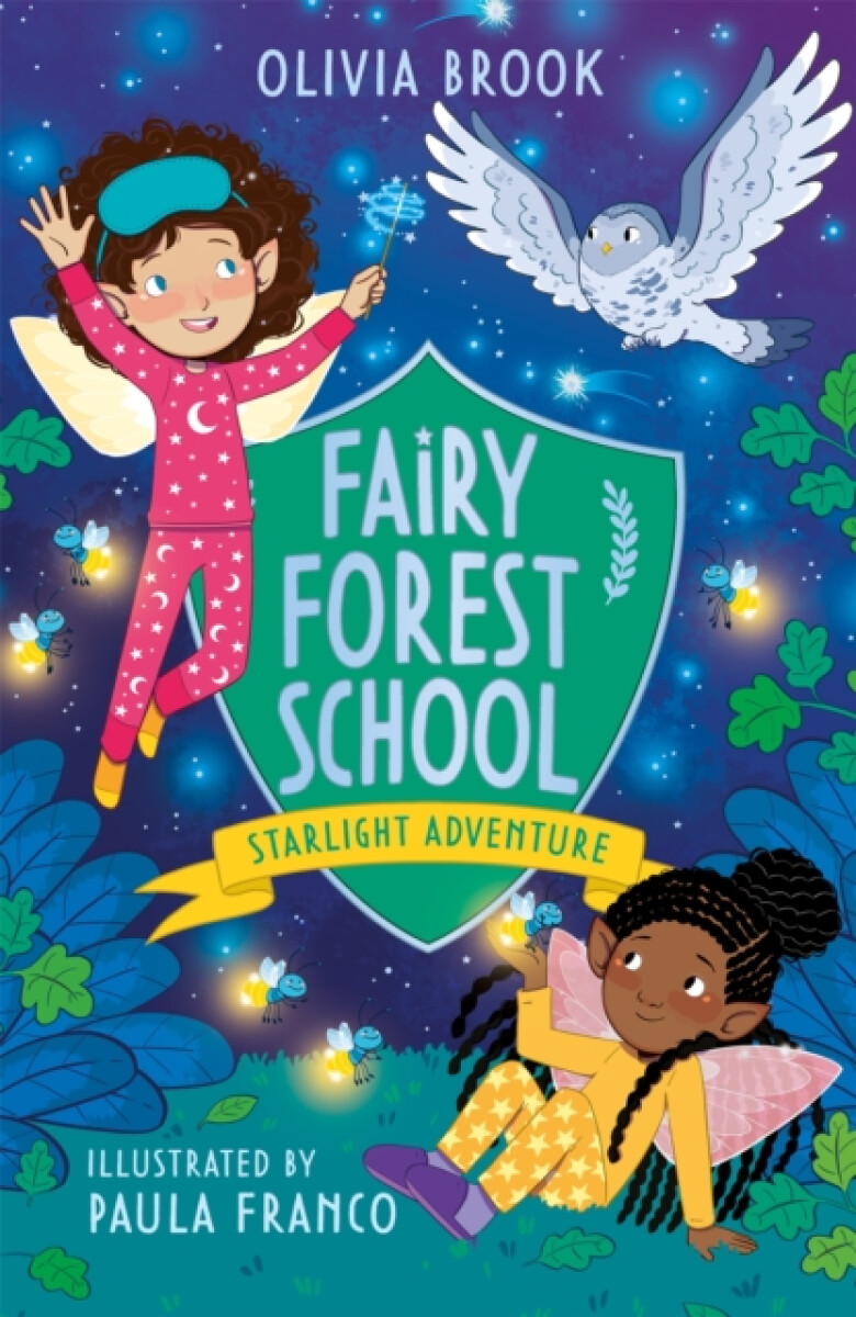 Kniha Fairy Forest School: Starlight Adventure