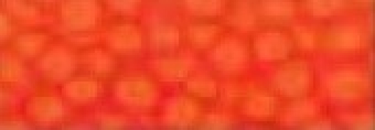 Fantasy Prisme 45 ml - 61 Fluo orange