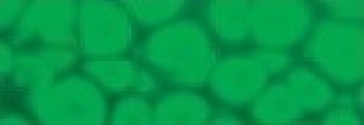 Barva Pébéo Fantasy Prisme 45ml – 63 Fluorescent green