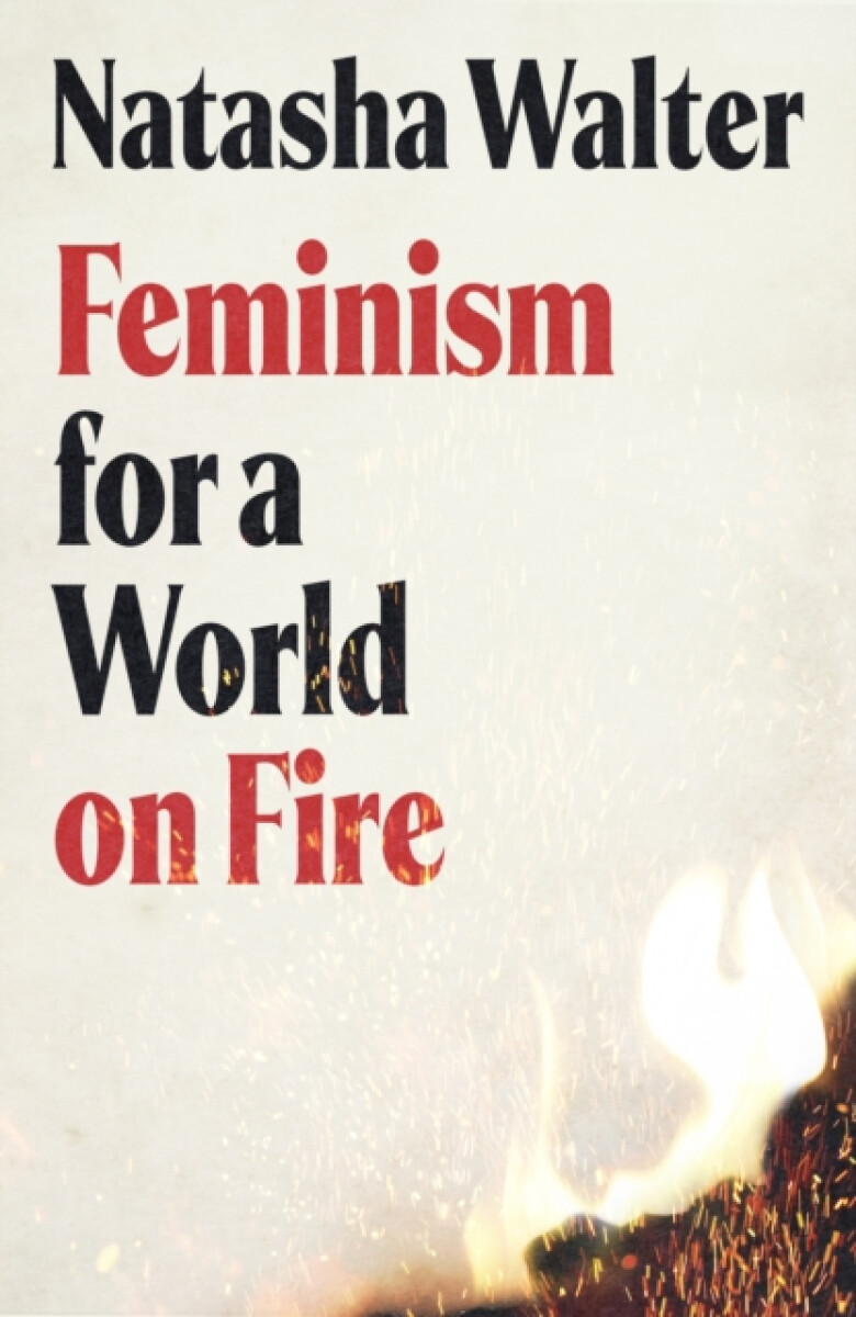 Kniha Feminism for a World on Fire