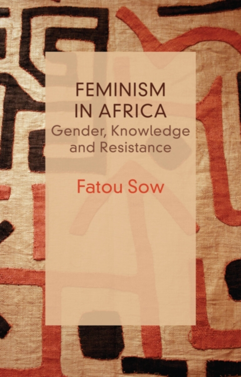 Kniha Feminism in Africa