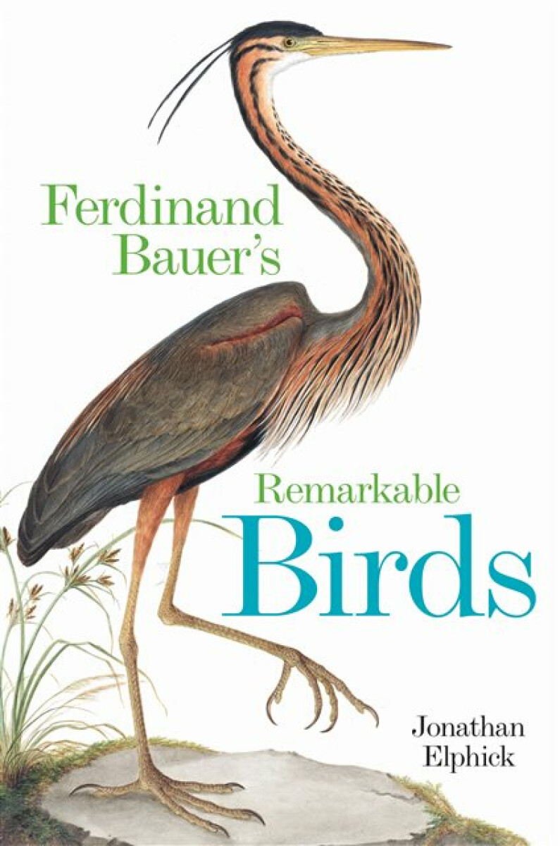 Kniha Ferdinand Bauer's Remarkable Birds