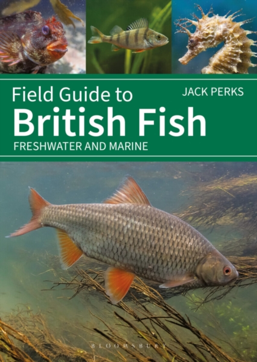 Kniha Field Guide to British Fish