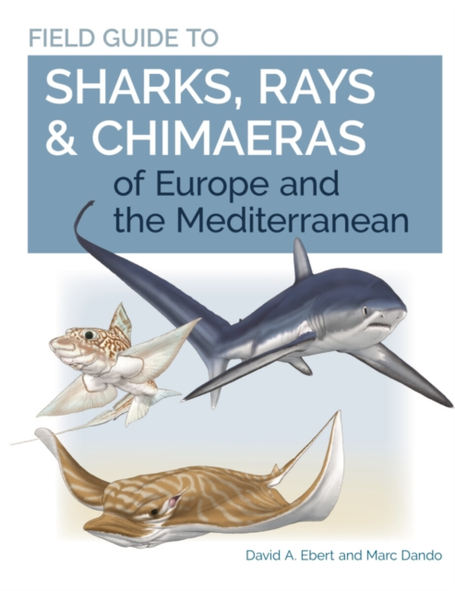 Kniha Field Guide to Sharks, Rays a Chimaeras of Europe and the Mediterranean
