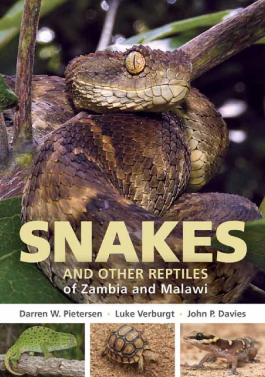 Kniha Field Guide to Snakes and other Reptiles of Zambia and Malawi