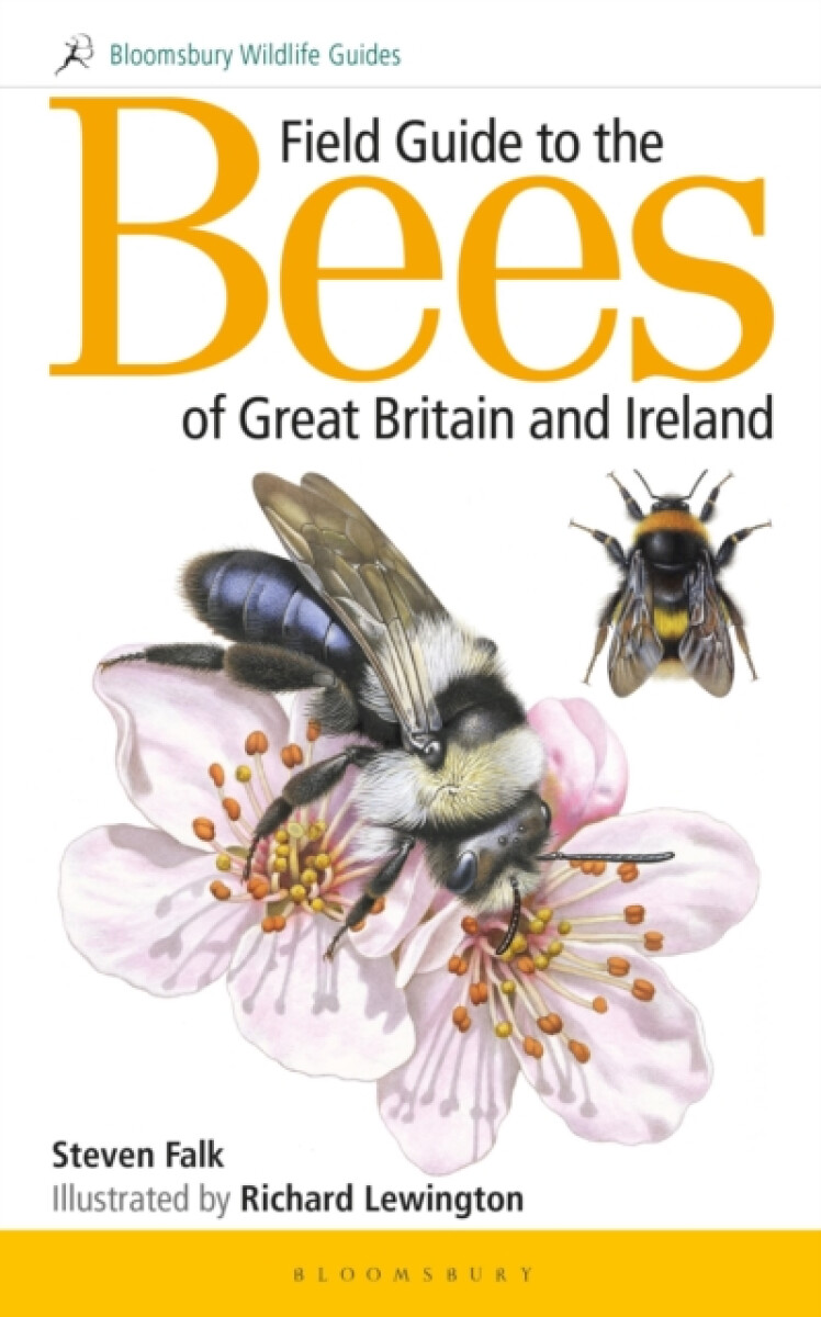 Kniha Field Guide to the Bees of Great Britain and Ireland