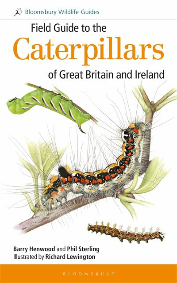 Kniha Field Guide to the Caterpillars of Great Britain and Ireland