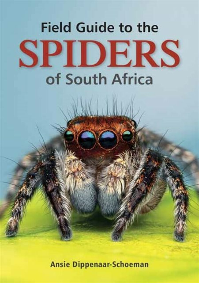 Kniha Field Guide to the Spiders of South Africa