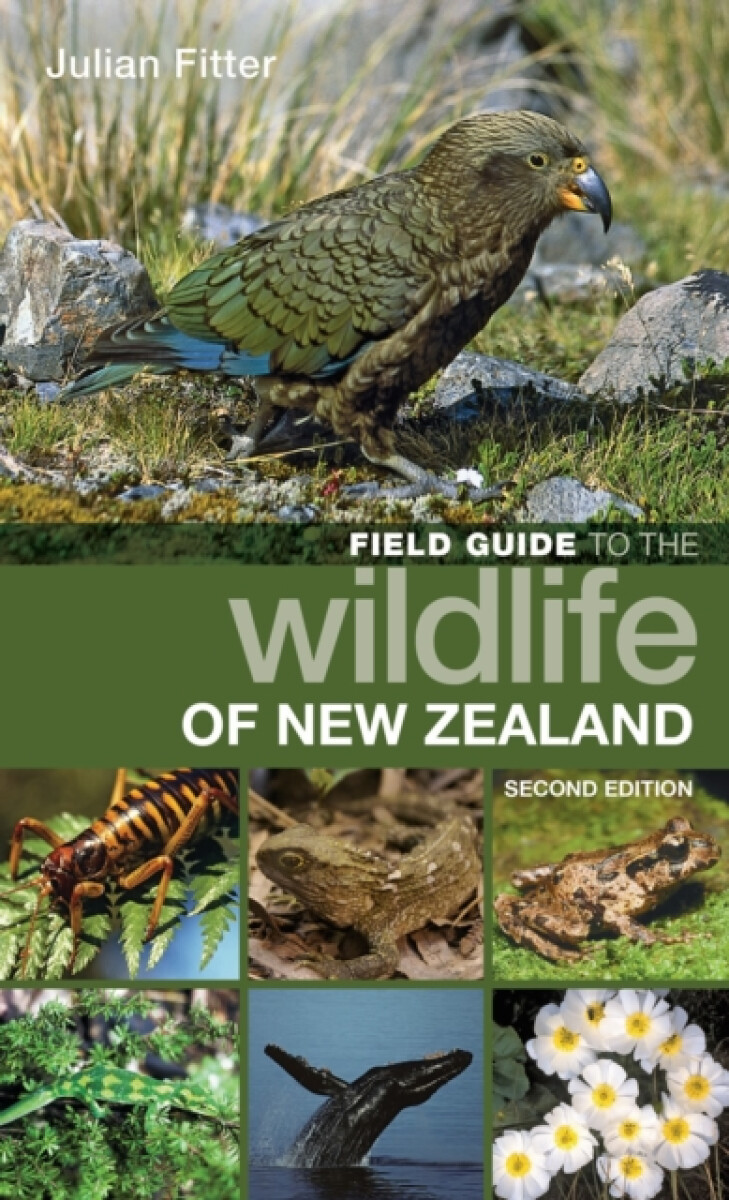 Kniha Field Guide to the Wildlife of New Zealand