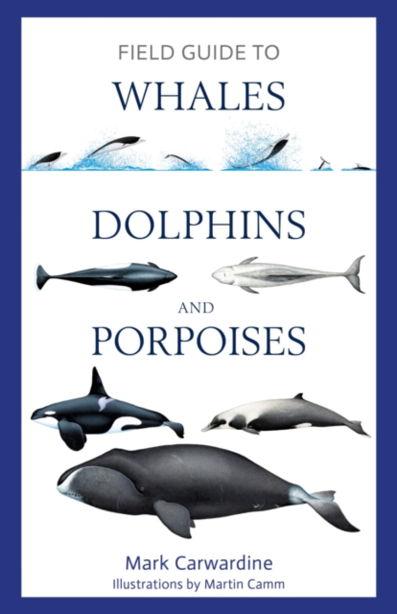 Kniha Field Guide to Whales, Dolphins and Porpoises