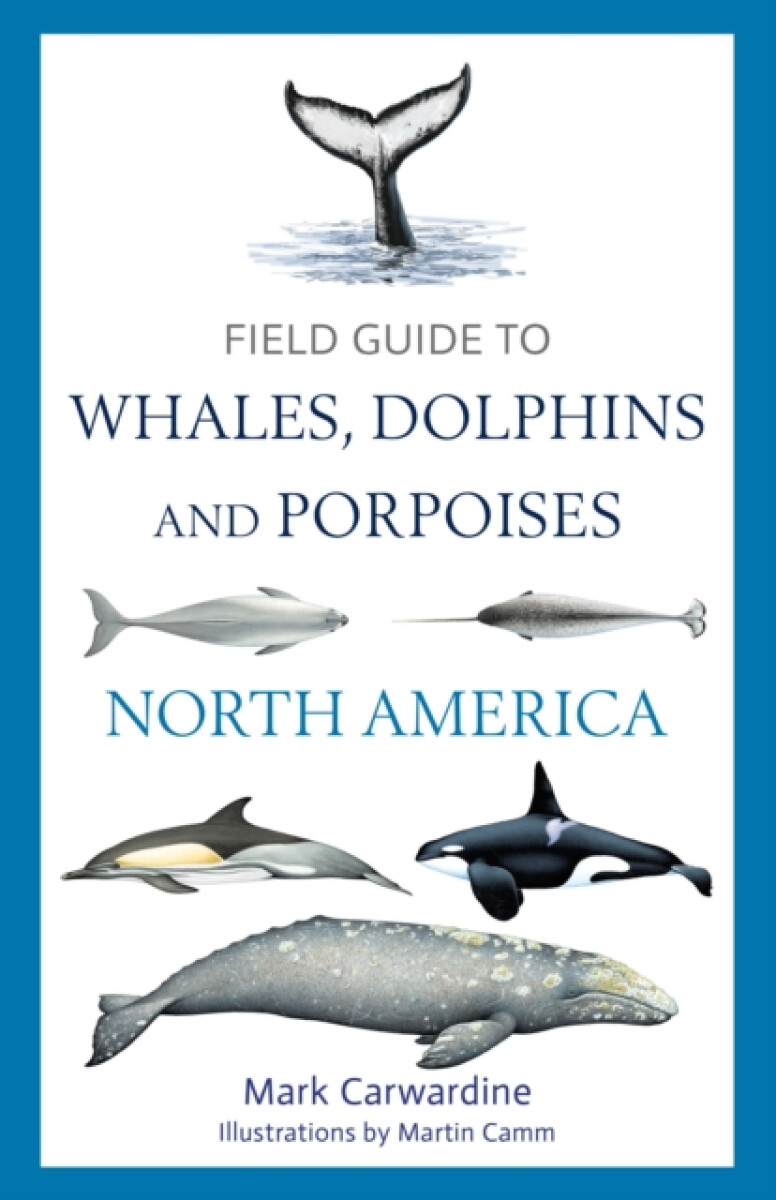 Kniha Field Guide to Whales, Dolphins and Porpoises of North America