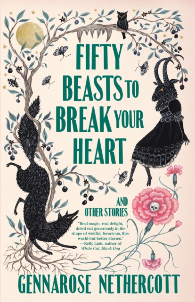 Kniha Fifty Beasts to Break Your Heart