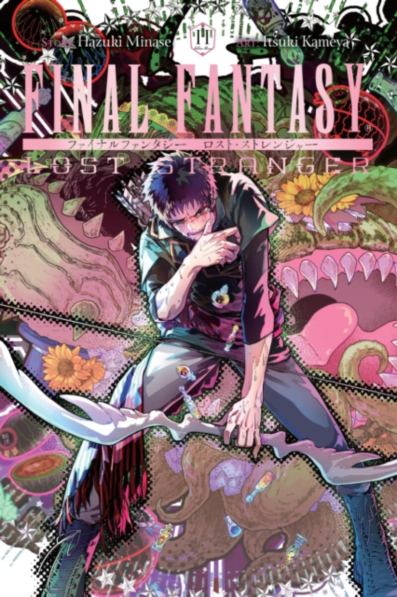 Kniha Final Fantasy Lost Stranger, Vol. 11