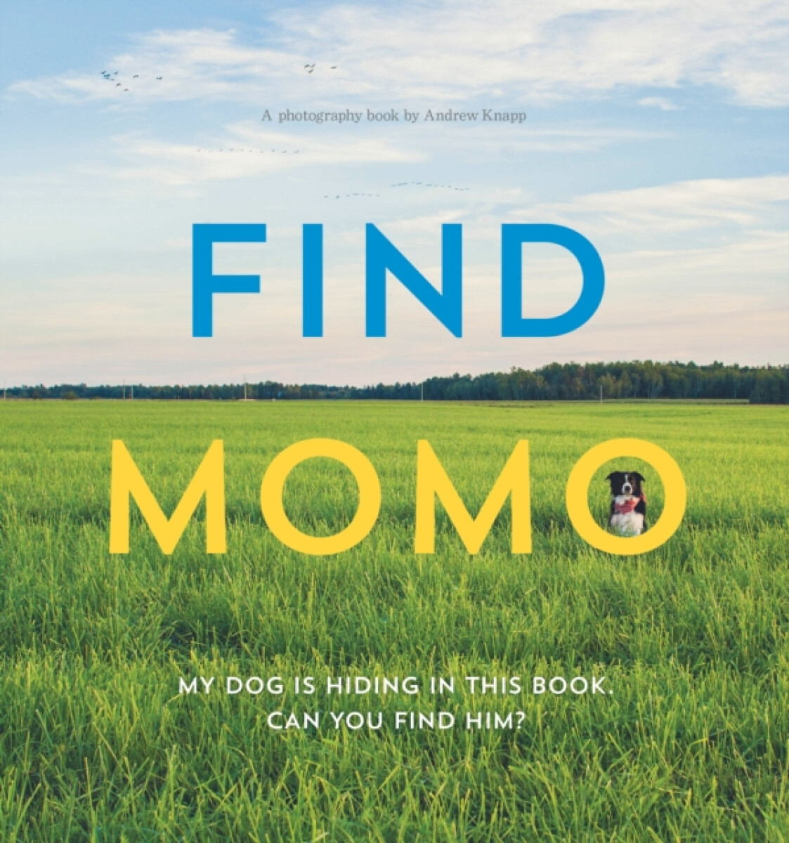 Kniha Find Momo