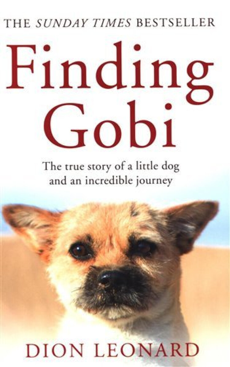 Kniha Finding Gobi