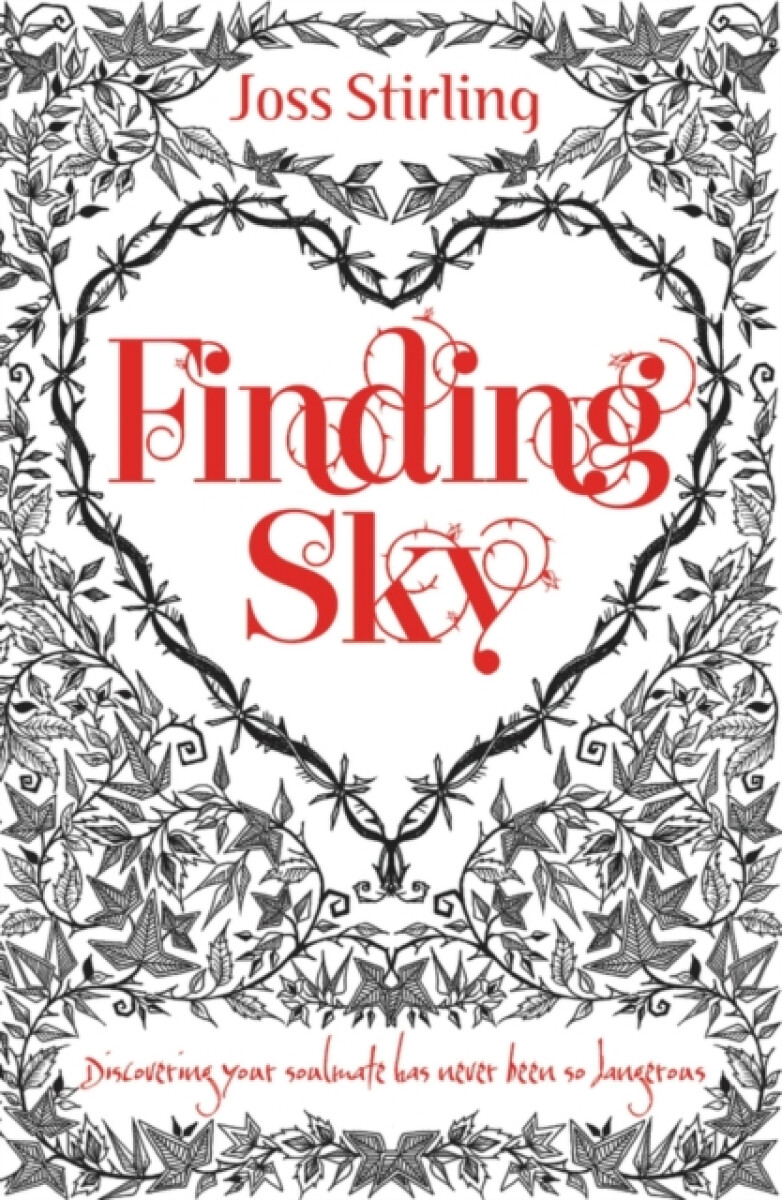 Kniha Finding Sky