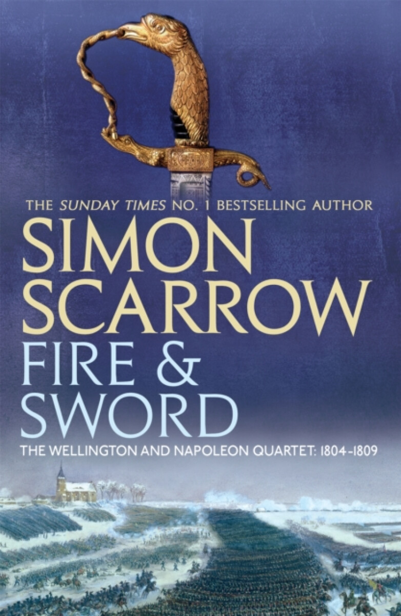 Kniha Fire and Sword (Wellington and Napoleon 3)