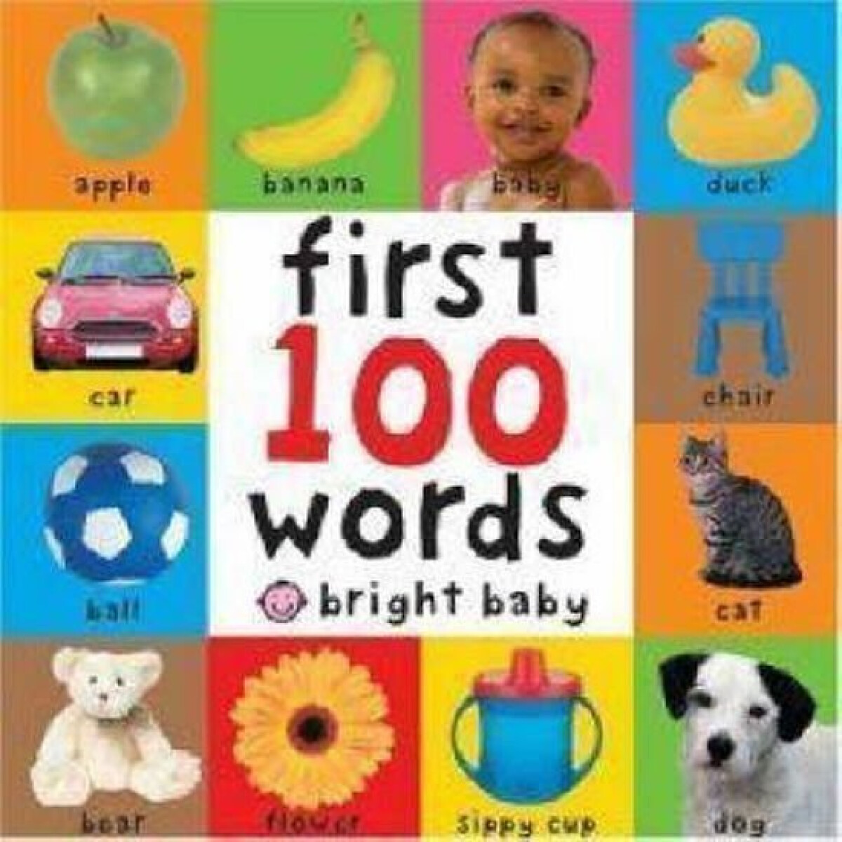 Kniha First 100 Words