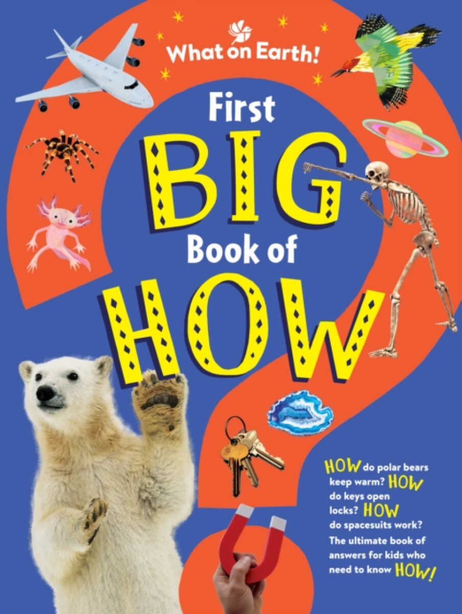 Kniha First Big Book of How
