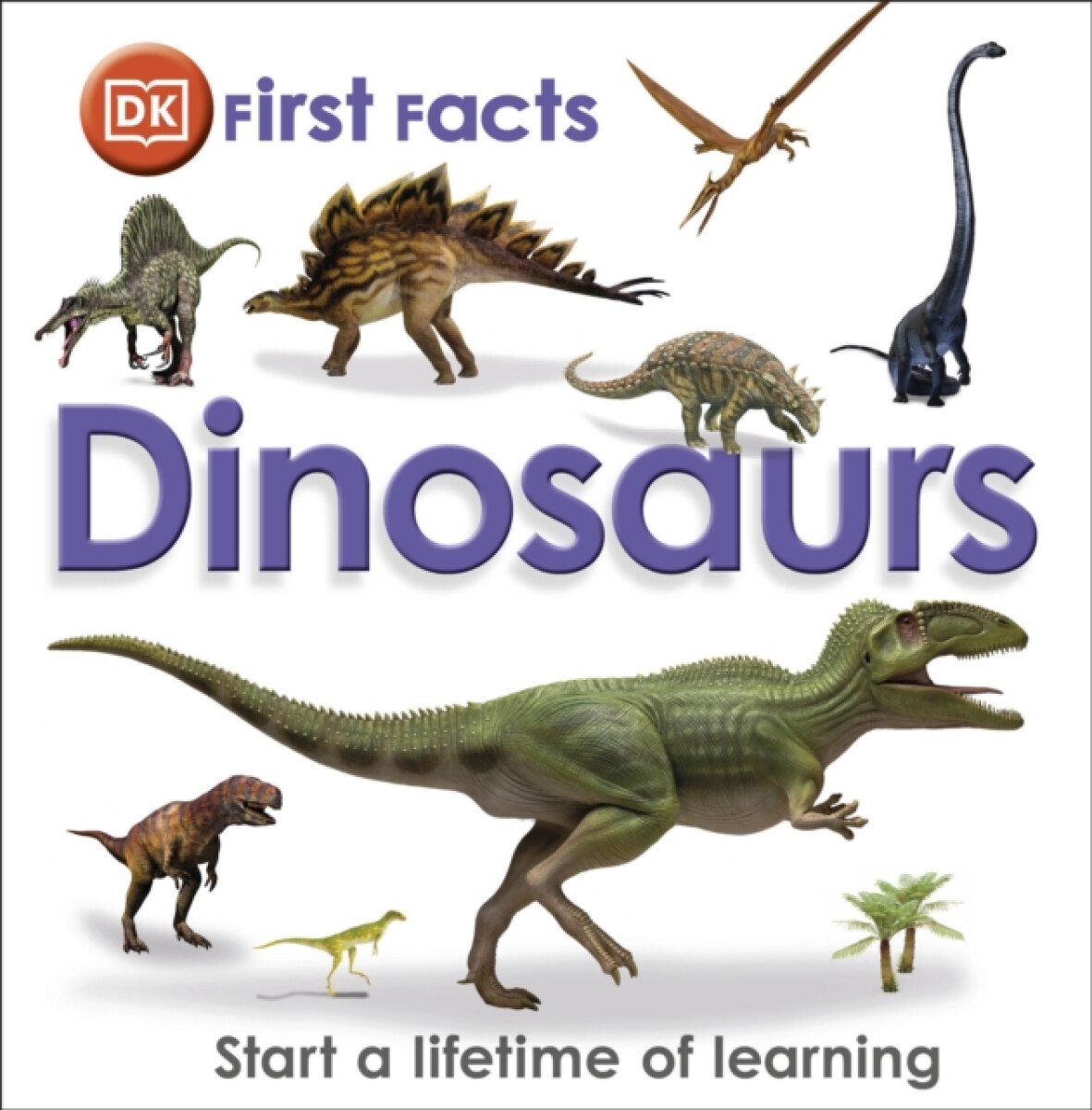 First Facts Dinosaurs - DK