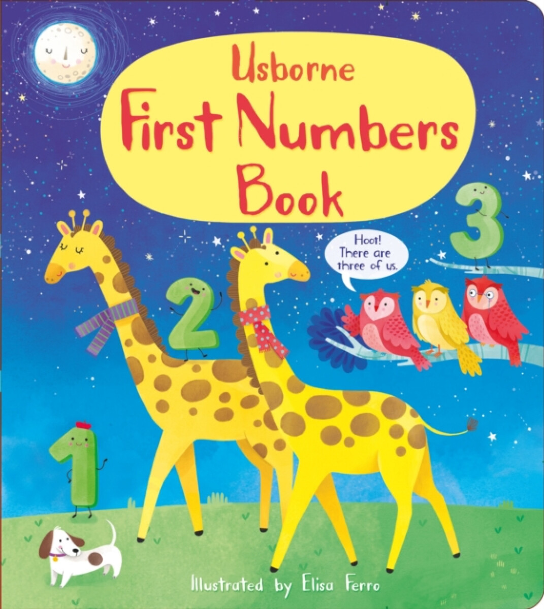Kniha First Numbers Book