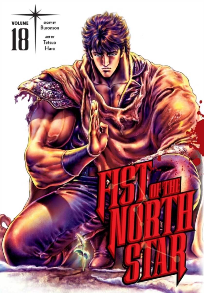 Kniha Fist of the North Star, Vol. 18