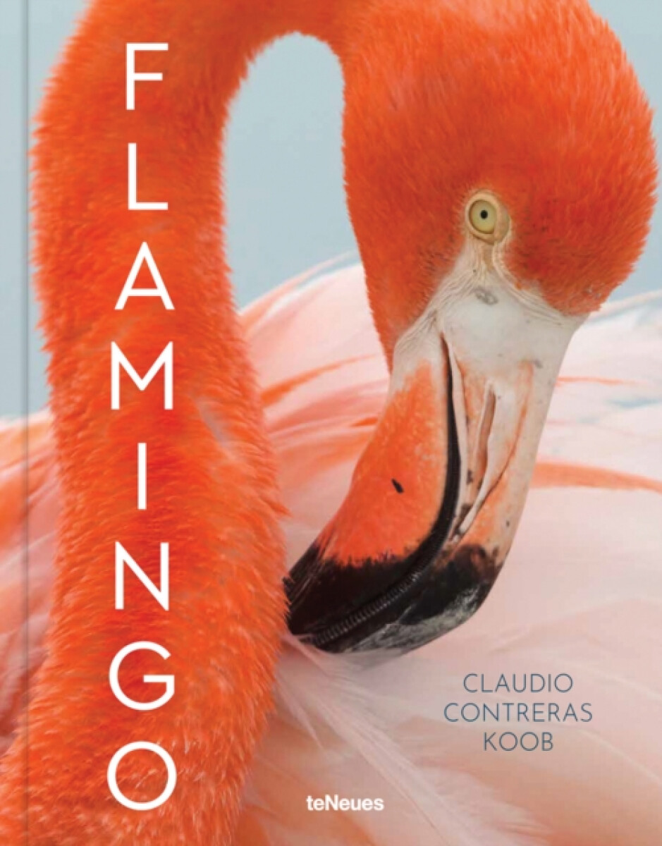 Kniha Flamingo