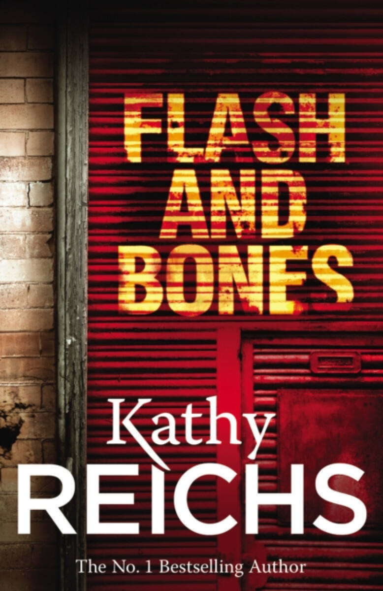 Kniha Flash and Bones