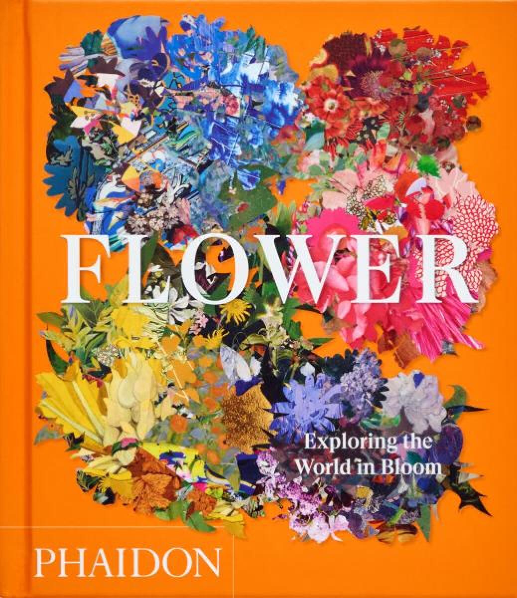 Kniha Flower: Exploring the World in Bloom