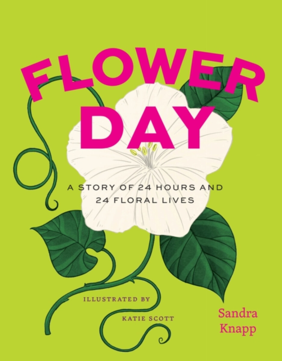 Kniha Flower Day