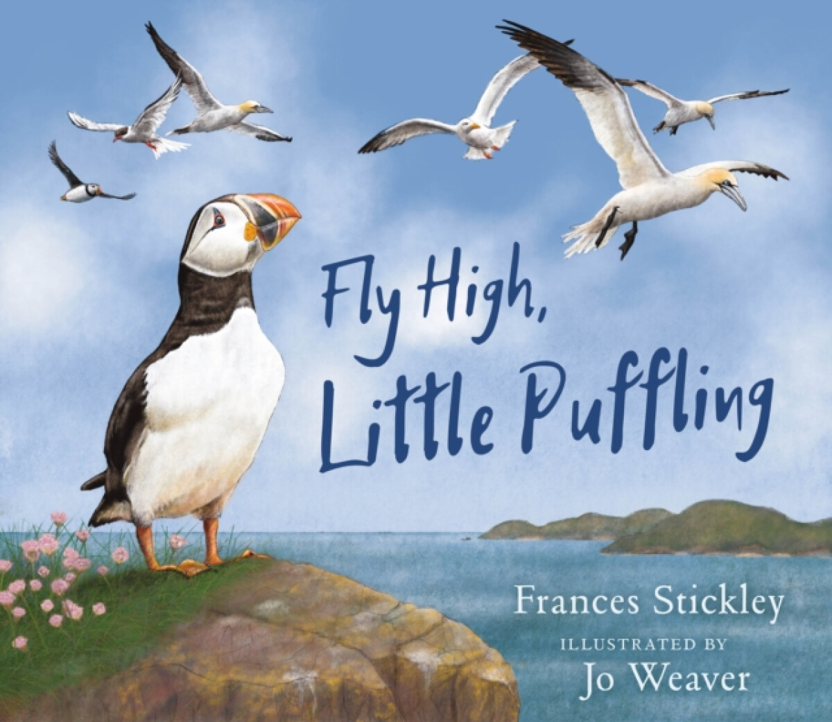 Kniha Fly High, Little Puffling