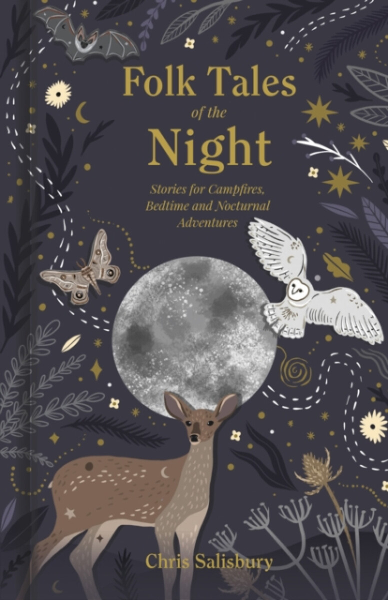 Kniha Folk Tales of the Night