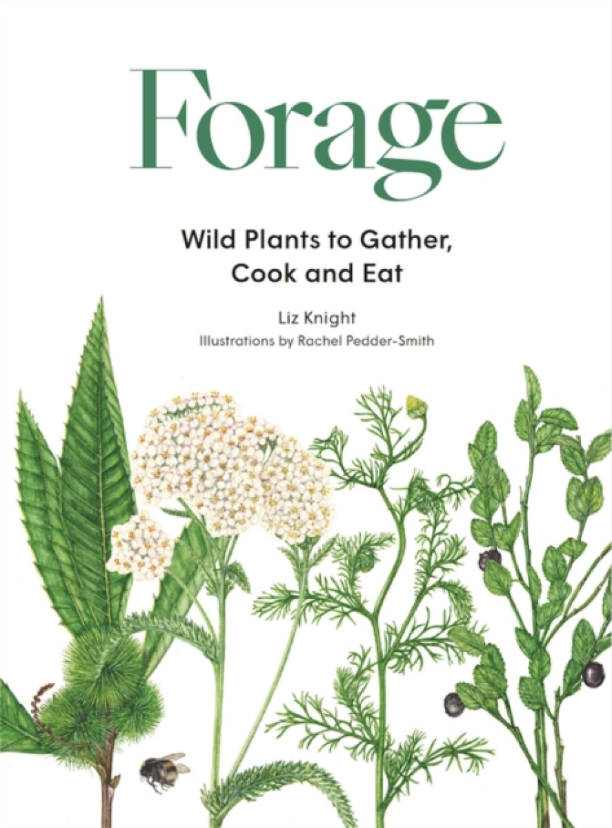 Kniha Forage