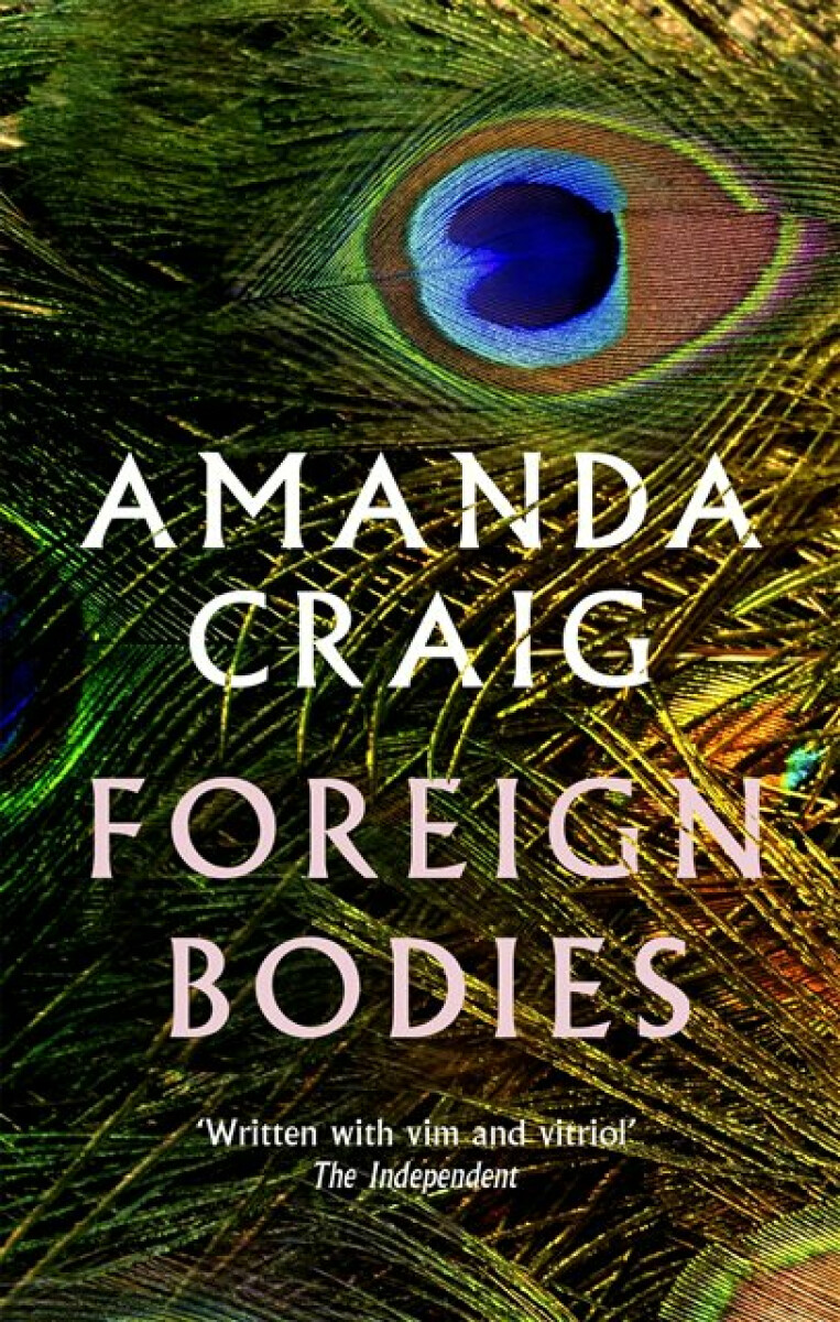 Kniha Foreign Bodies
