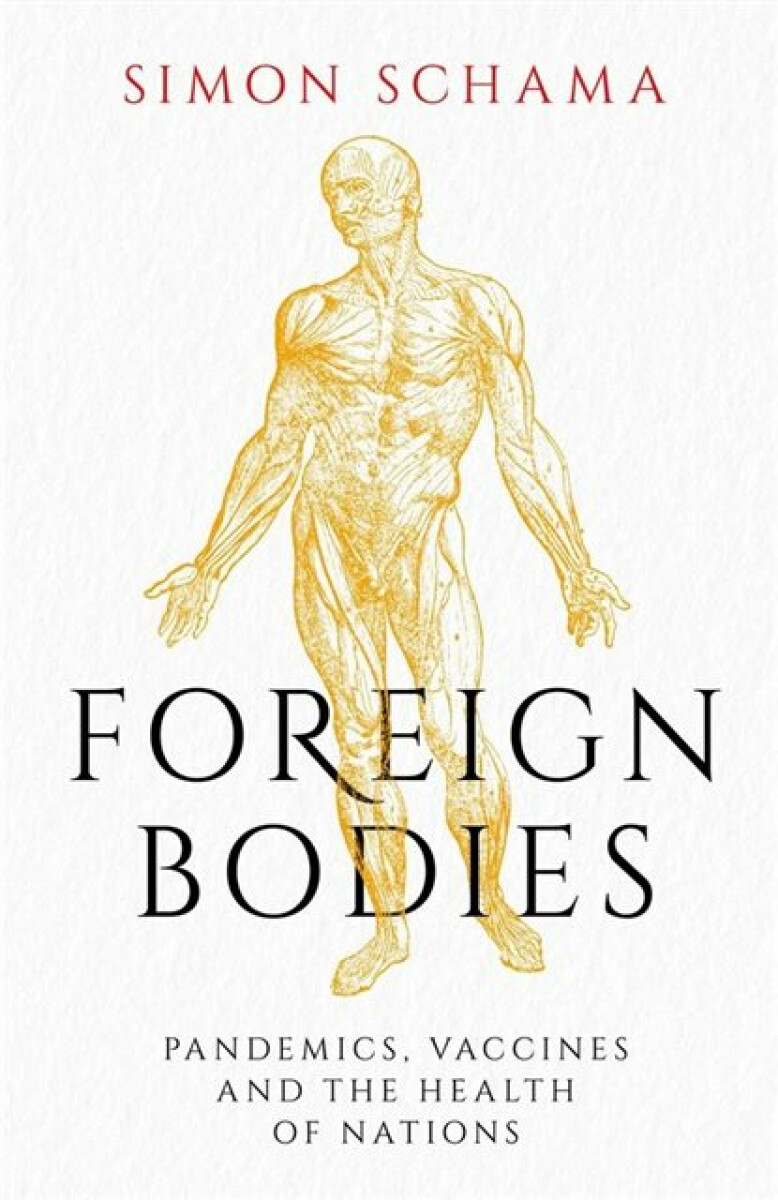 Kniha Foreign Bodies