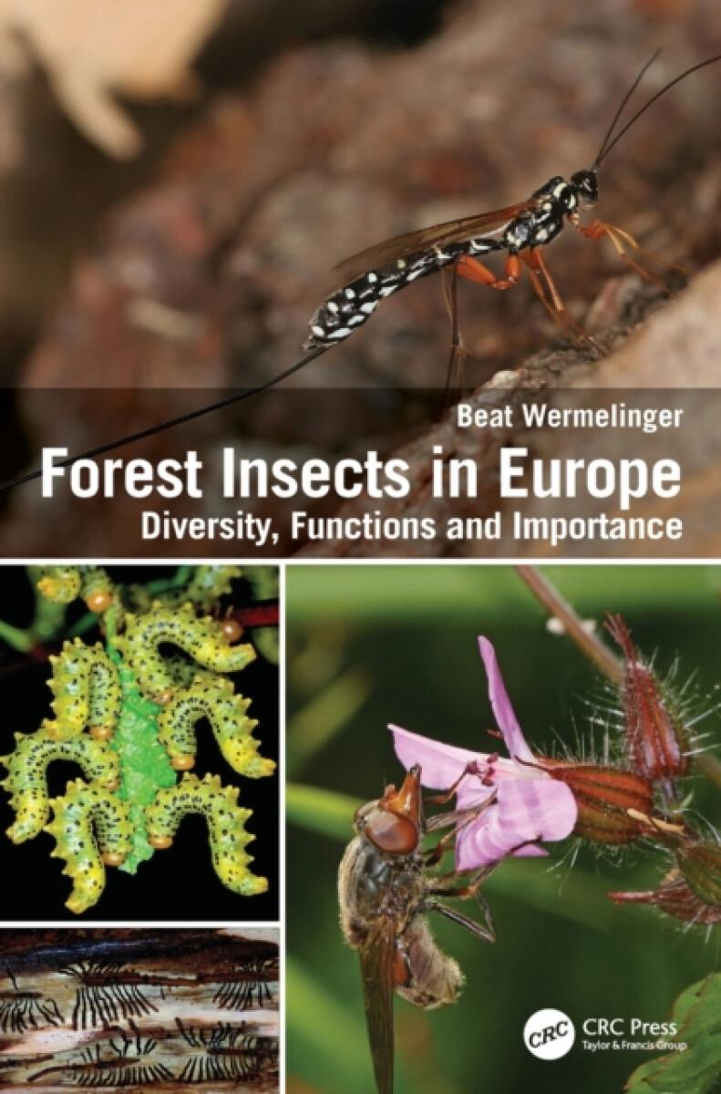 Kniha Forest Insects in Europe