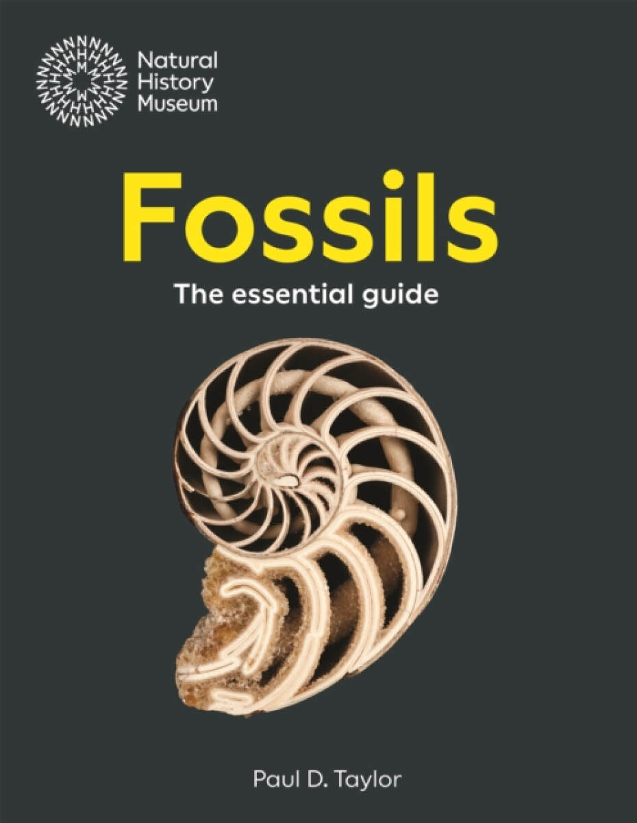 Kniha Natural History Museum Guide to Fossils
