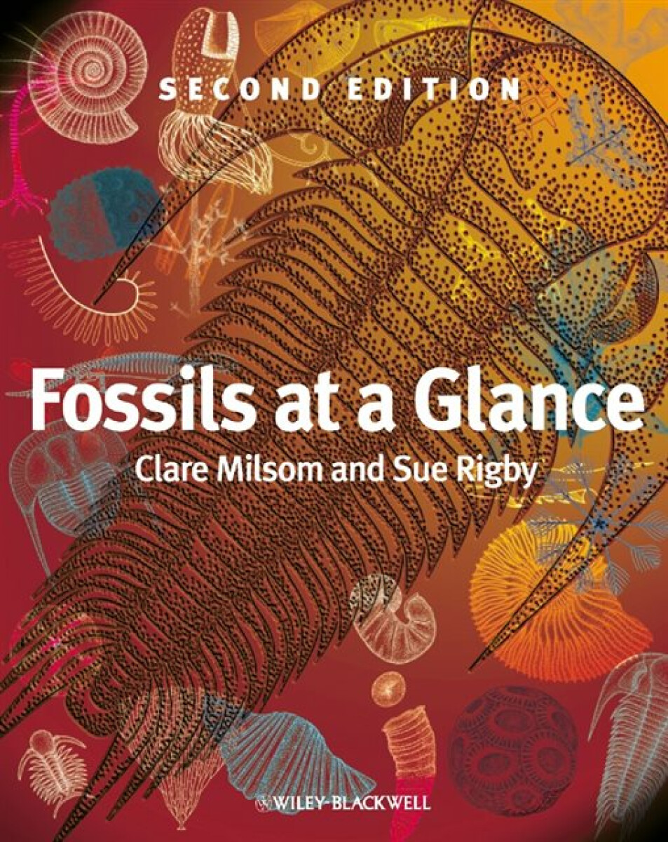 Kniha Fossils at a Glance