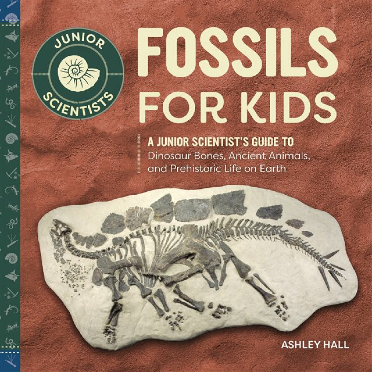 Kniha Fossils for Kids