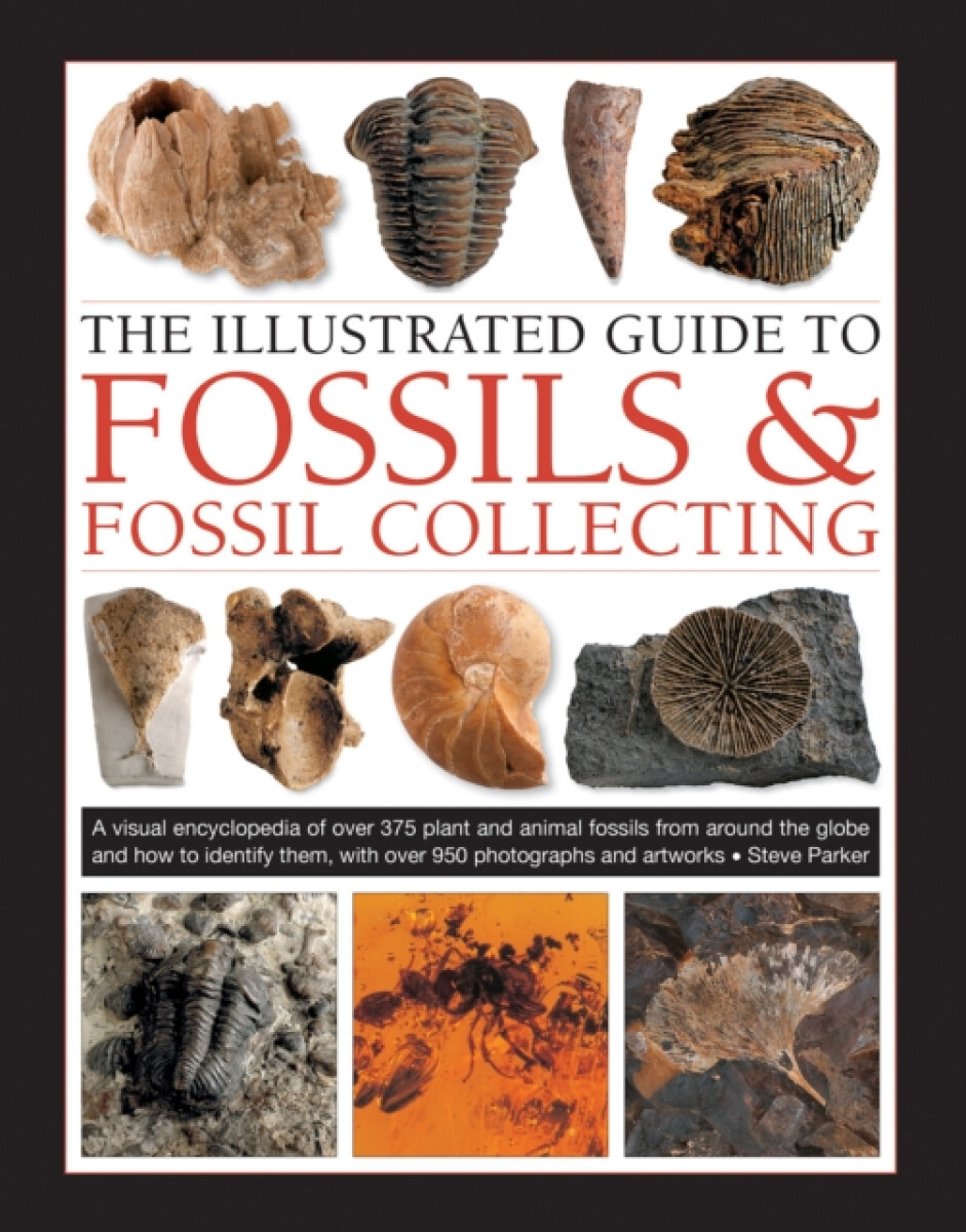 Kniha Fossils a Fossil Collecting, The Illustrated Guide to