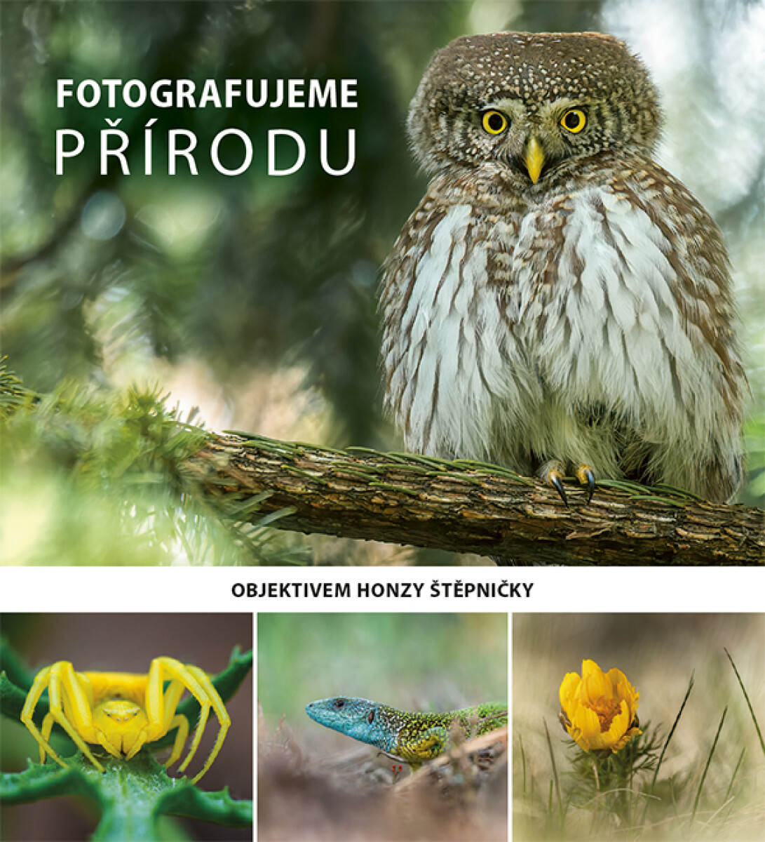 Fotografujeme PŘÍRODU - Jan Štěpnička
