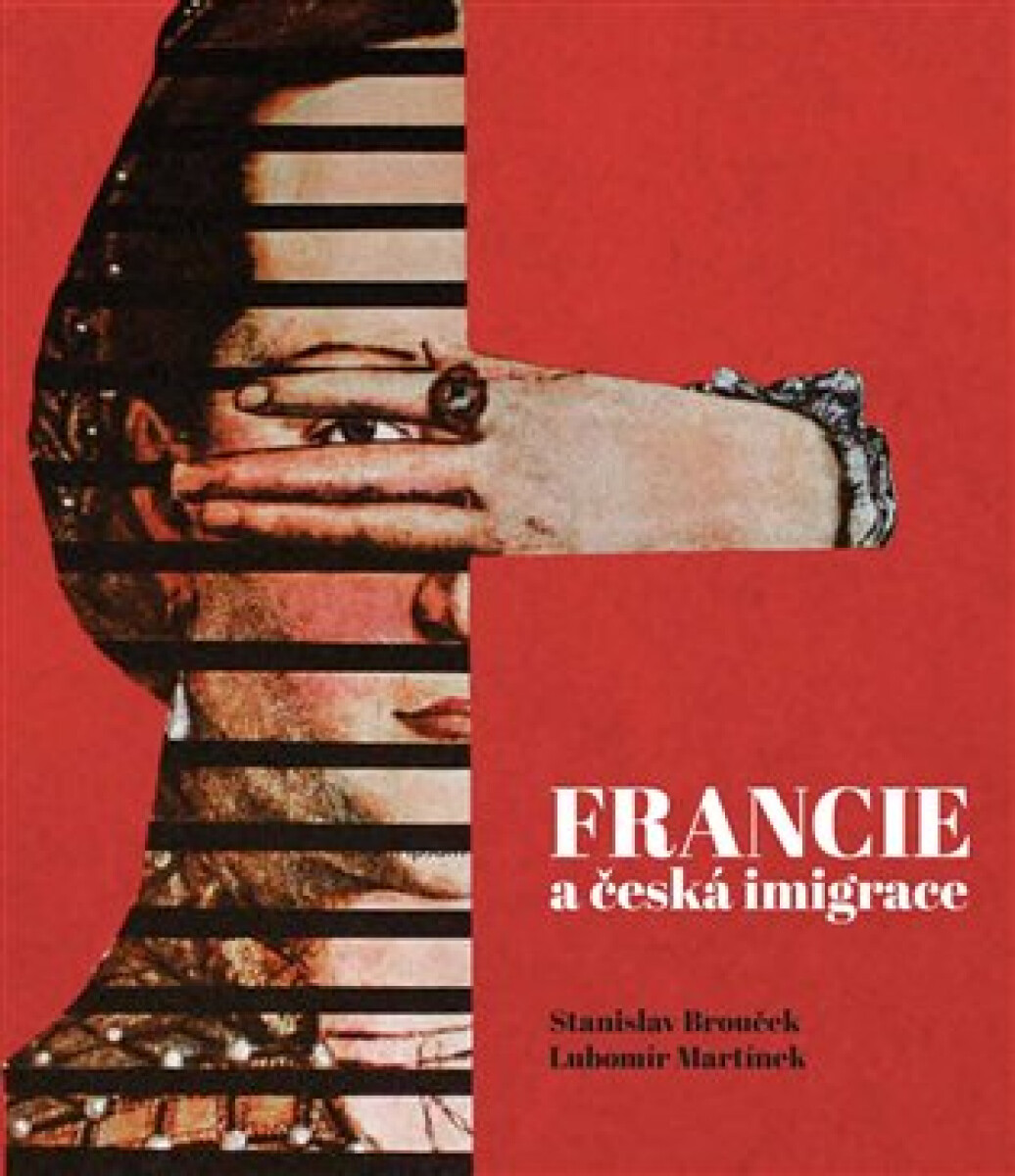 Kniha Francie a česká imaginace