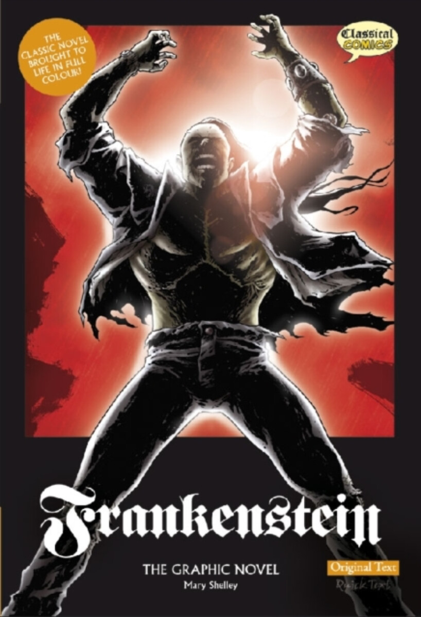 Kniha Frankenstein The Graphic Novel